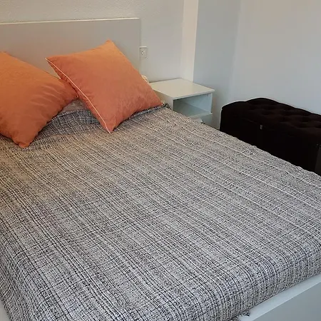 Argonavis B1-2a L'Estartit