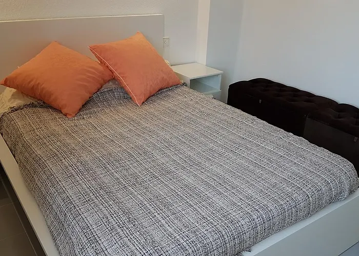 Argonavis B1-2a レスタルティット